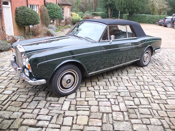 Classics from Terence Morley