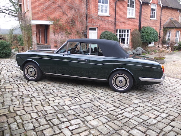 Classics from Terence Morley