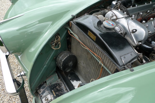 Classics from Terence Morley
